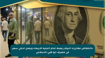 «انخفاض مفاجئ» الدولار يهبط أمام الجنيه الأربعاء ويصل لأعلى سعر في مصرف أبو ظبي الإسلامي